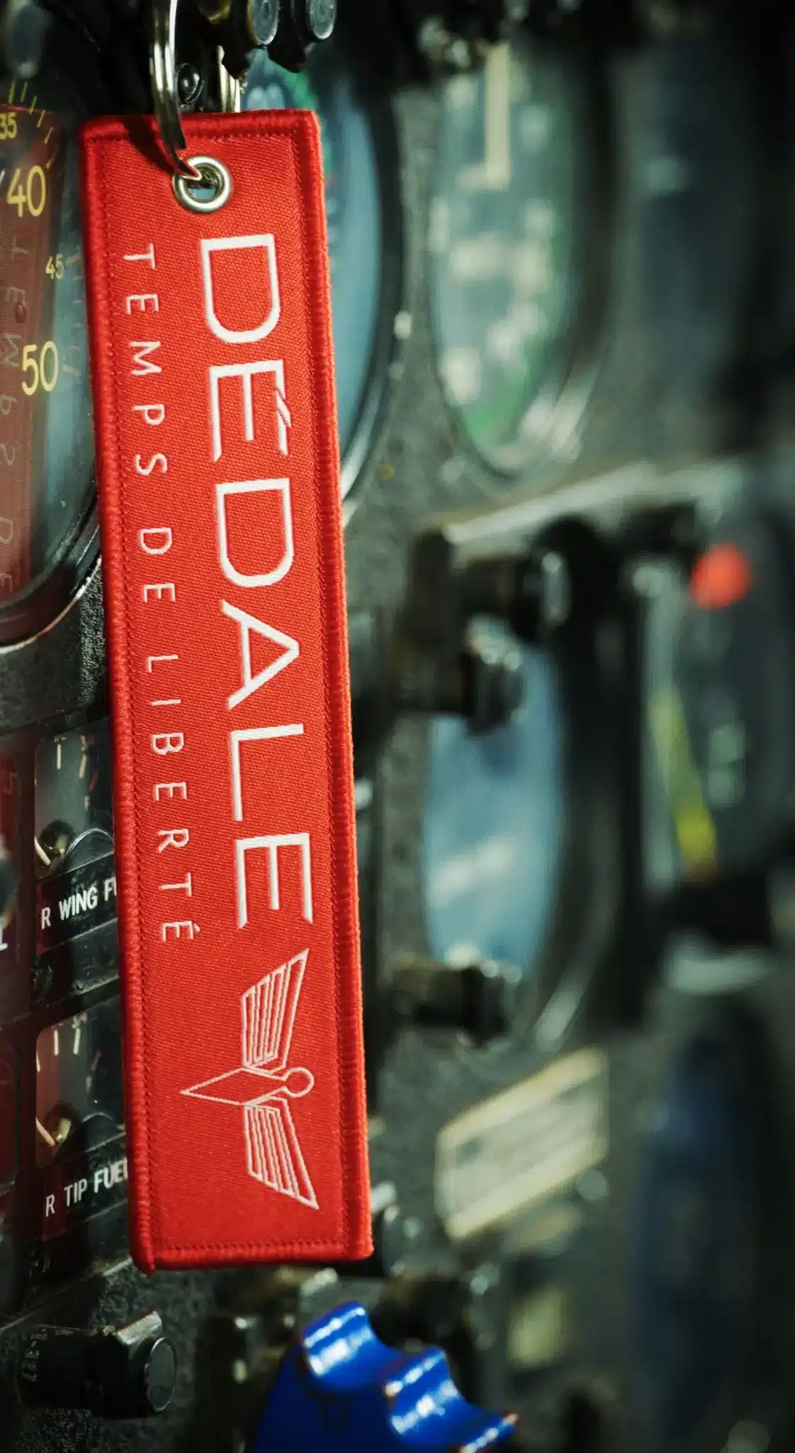 Dédale cockpit avion